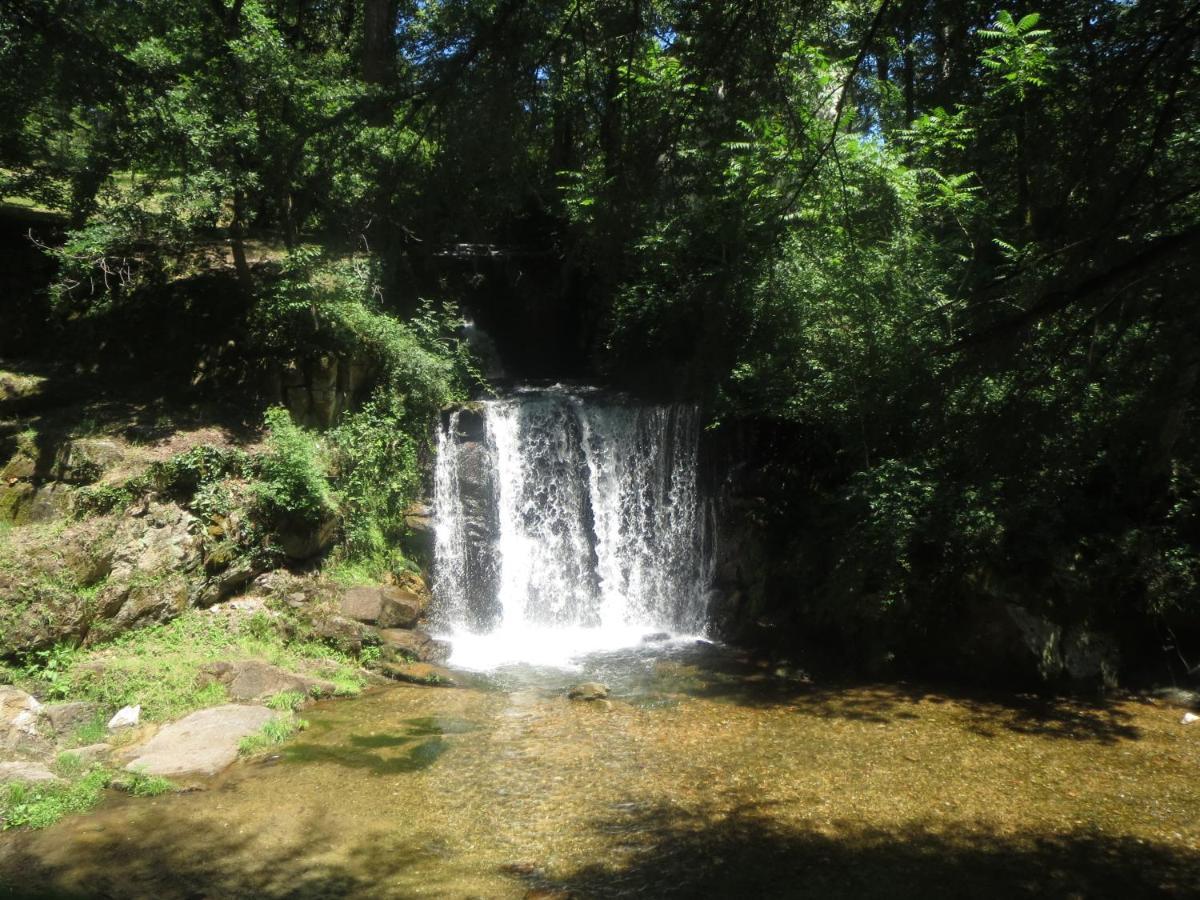 Le Moulin Blanc Appartement Castelmaurou Buitenkant foto